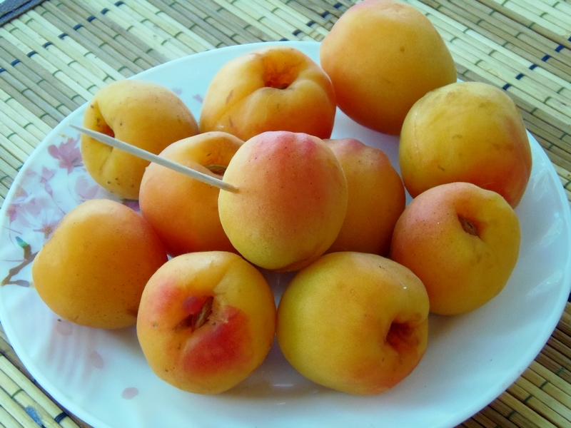 Абрикосы с яблоками в сиропе. Жпг абрикос. Абрикосы в сиропе калорийность. Из чего образуется плод абрикоса впр