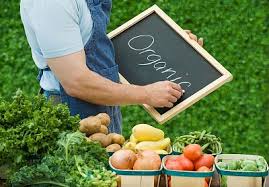 Органические продукты набирают популярность: чем хорош якон - 8.jpg