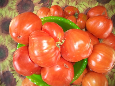 Лучшие сорта помидор и огурцов для засолки на зиму - 019.JPG