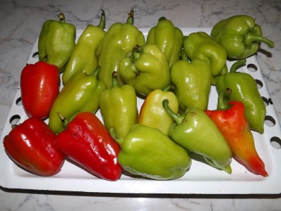 Перец печеный Летний  - DSCF2661.JPG