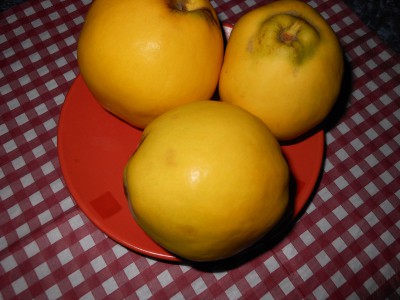 Куриные окорочка, приготовленные на сухой сковороде - айва.jpg