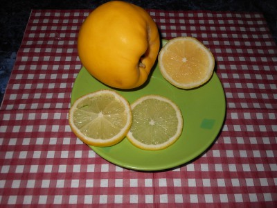 Вариации на тему: шуба летом  - лимон и айва на шубу.jpg