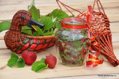 Чай из клубники, мелиссы и листьев смородины - 10 Чай из клубники, мелиссы и листьев смородины.jpg