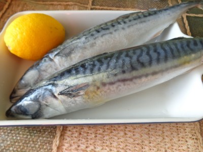 Скумбрия запеченная с овощами - DSC03128.JPG
