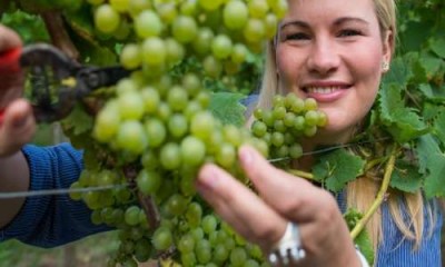 В Вольске состоялся первый фестиваль ухи - 5.jpg