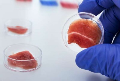 В Израиле будут выращивать мясо из клеток кур - 8.jpg