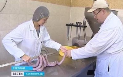 Самая лучшая рыба – это колбаса - 7.jpg