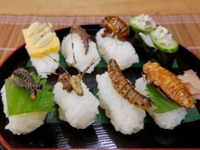 Время менять мясо на насекомых? - 8.jpg