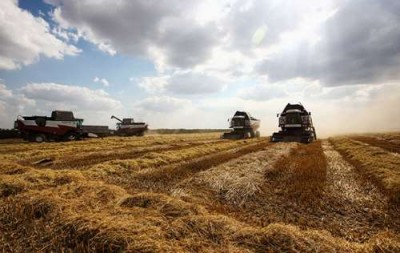 Рис, это валютное сырьё. Своим же здоровья и всего... - 6.jpg