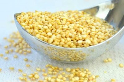 Зерно фонио: ещё один кандидат на звание суперпродукта - 9.JPG
