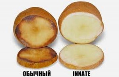 Полезные ГМО-продукты? Это вовсе не миф, это реальность  - 9.JPG