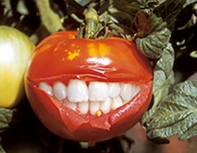 Полезные ГМО-продукты? Это вовсе не миф, это реальность  - 5.jpg