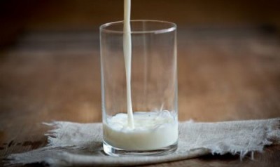 Тараканье молоко или entomilk: создаётся новый суперпродукт? - 10.jpg