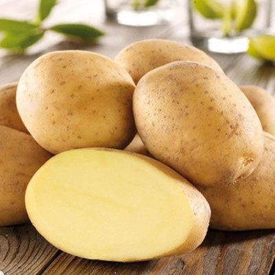 Карта картошки: в Азии растёт производство картофеля - 9.JPG