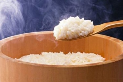 Учёные создали ГМО-рис, который нейтрализует ВИЧ - 8.jpg