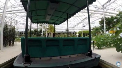 Гигантские дыни и другие овощи в теплице Disney World - 9.JPG