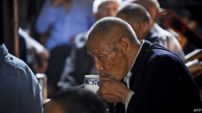 Новый вид чая без кофеина: hongyacha нашли на юге Поднебесной - 8.jpg