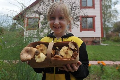Грибы, по утверждению учёных, насыщают лучше, чем мясо - 7.jpg