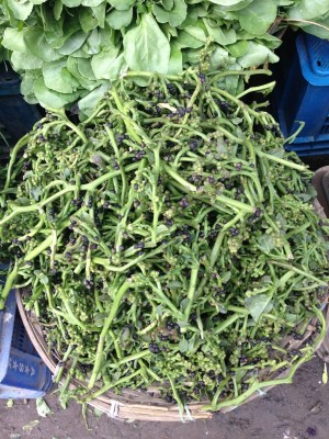 Экзотические овощи и фрукты - IMG_3655 (600x800).jpg