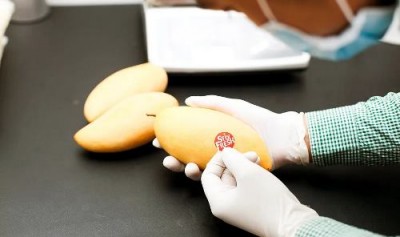 Срок годности фруктов: разработаны наклейки, продлевающие его - 10.jpg