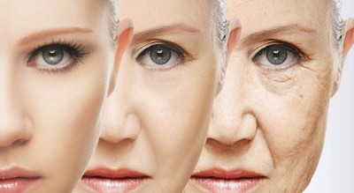 Гранатовая диета: эффективность антивозрастной молекулы доказана - 8.jpg
