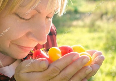 Пластиковый вкус у помидоров скоро исчезнет - 8.jpg