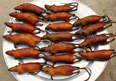 Крыса как восхитительный деликатес: потому что вкусно, а не голодно - 8.jpg