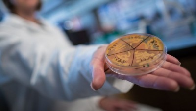 Диета? Просто подбери правильные бактерии Clostridia - 10.jpg