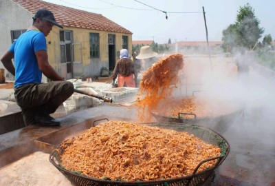 Креветки от New Wave Foods: морские водоросли и растительный белок - 6.jpg