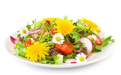 Съедобные цветы: красиво и вкусно, а ещё модно - 5.jpg