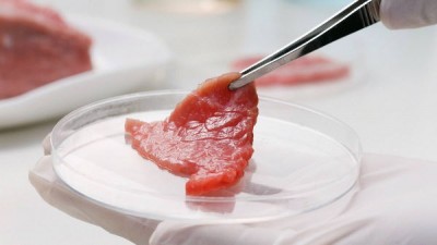 Мясо из пробирки научились растить на съедобном каркасе - 10.jpg