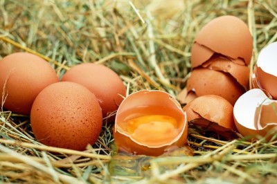 Секрет идеальной яичницы в прочном желтке. Диета для куриц, укрепляющая мембрану желтка - 10.jpg