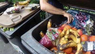 Недостаток еды в митре? Смотрим, сколько выбрасывается продуктов - 9.JPG