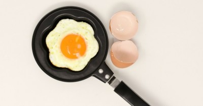 Яйца птиц вредны для здоровья? Новое исследование это опровергает - 8.jpg