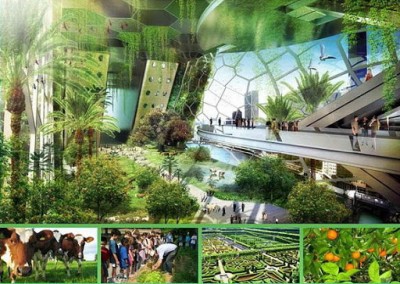 Пандемия коронавируса ускорит развитие городских сельхоз-ферм - 6.jpg