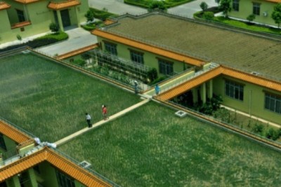 Пандемия коронавируса ускорит развитие городских сельхоз-ферм - 7.jpg