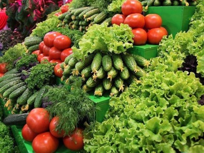 Свежие российские овощи под угрозой: тепличным хозяйства отказано в помощи - 9.JPG