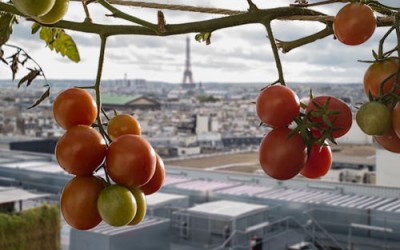 Парижская высотная ферма Nature Urbaine стала крупнейшей в Европе - 6.jpeg