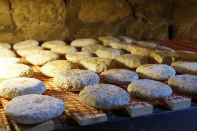 Запах сыра – это способ общения микробов с грибами и еда для бактерий - 10.jpeg