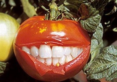 ГМО: какие продукты чаще содержат этот «страшный» компонент - 8.jpg