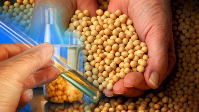 ГМО: какие продукты чаще содержат этот «страшный» компонент - 9.jpg