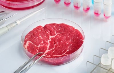 Культивированное мясо из пробирки получило одобрение для продажи - 9.jpg
