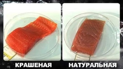 Красная рыба: краснеет от красителей, питания или стыда? - 8.jpg
