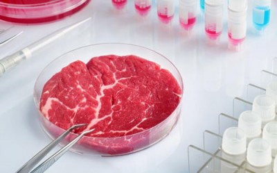 В Израиле напечатали стейк рибай из культивируемого мяса - 7.jpg
