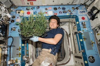Больше космической еды NASA заплатит полмиллиона за новые идеи - 8.jpg