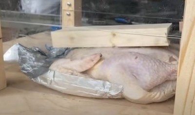 Как приготовить курицу без огня: физика в помощь - 10.jpg