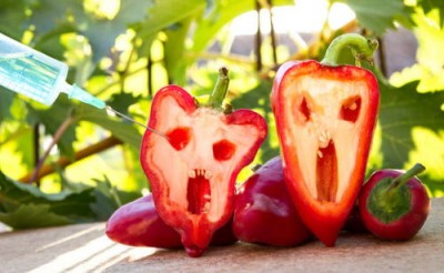 ГМО-продукты: насколько они страшны с научной точки зрения - 8.jpg