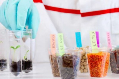 ГМО-продукты: насколько они страшны с научной точки зрения - 9.jpg