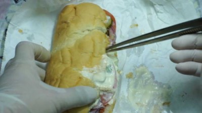 Бутерброды с тунцом в сети Subway не содержат ДНК самого тунца? - 9.jpg