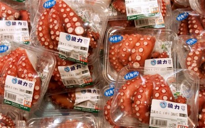Продукты из Фукусимы Япония возвращаются на рынок - octopus_2297858b.jpg